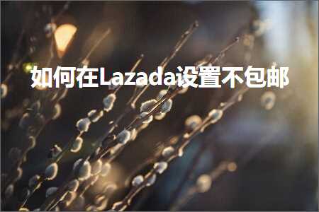 跨境电商知识:如何在Lazada设置不包邮+